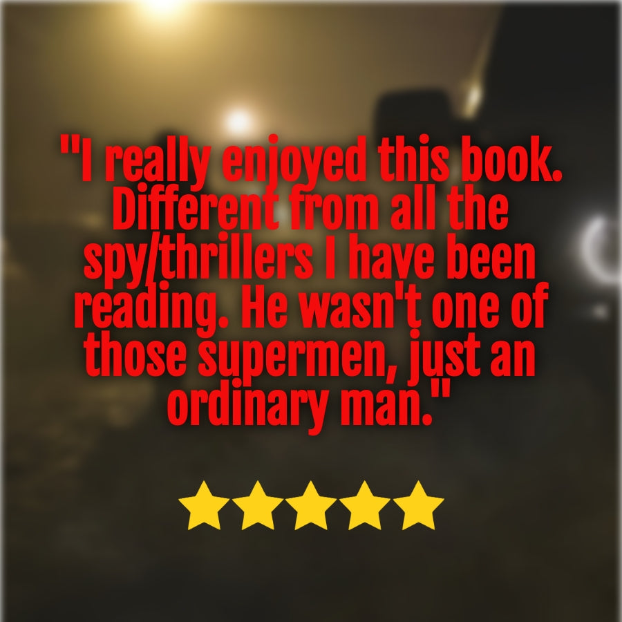 Vengeance Paperback John Hayes thriller series  review quote
