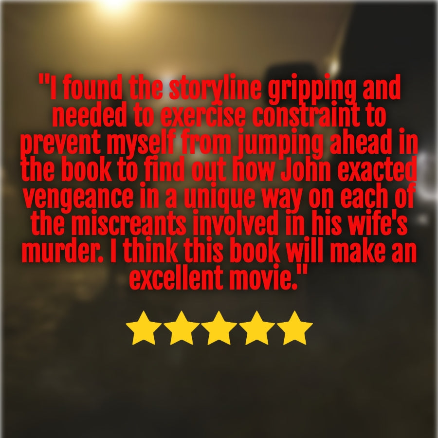 Vengeance Paperback John Hayes thriller series  review quote